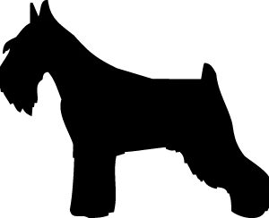 Breed Decal - Silhouette Schnauzer