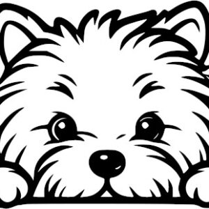 Breed Decal - Peeking Scottish Terrier
