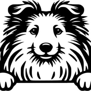 Breed Decal - Peeking Sheltie