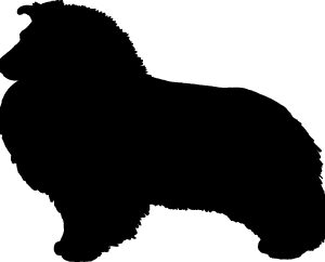 Breed Decal - Silhouette Sheltie