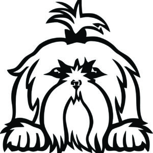 Breed Decal - Peeking Shihtzu
