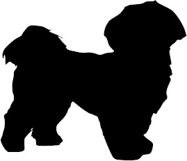 Breed Decal - Silhouette Shihtzu