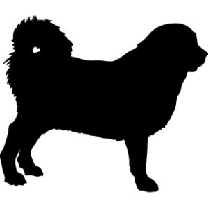Breed Decal - Silhouette Tibetan Mastiff