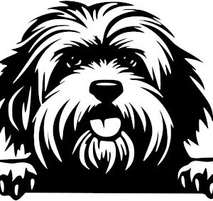 Breed Decal - Peeking Tibetan Terrier