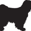 Breed Decal - Silhouette Tibetan Terrier