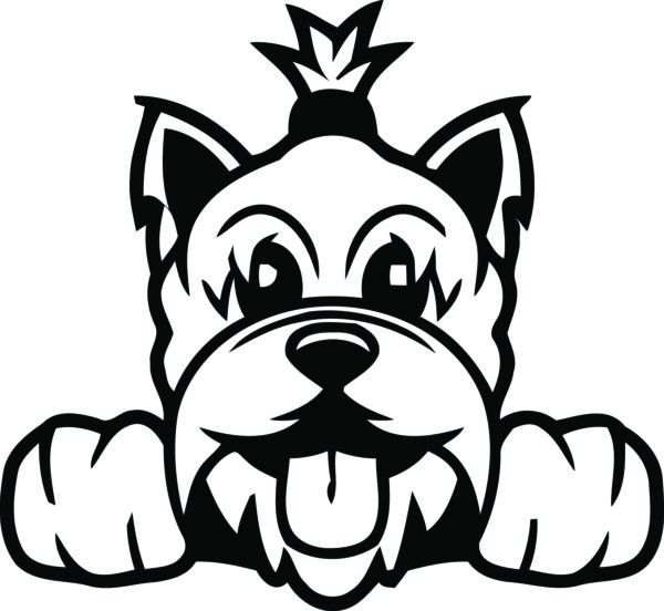 Breed Decal - Peeking Yorkshire Terrier