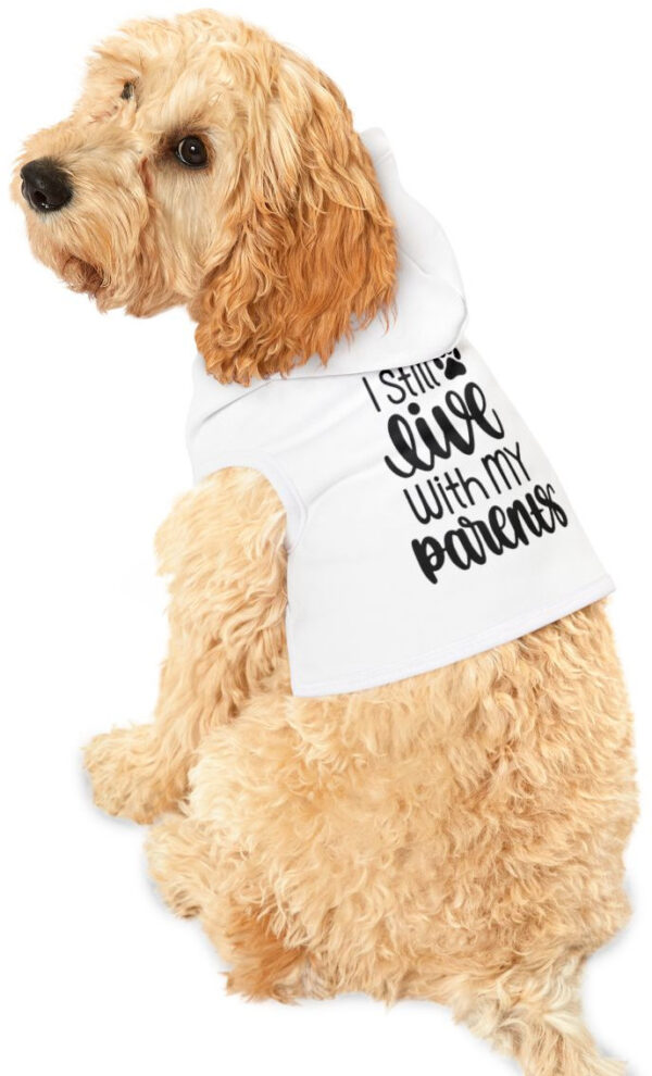 "Cozy Dog Hoodie: 'I Live with My Mom' Statement Apparel"