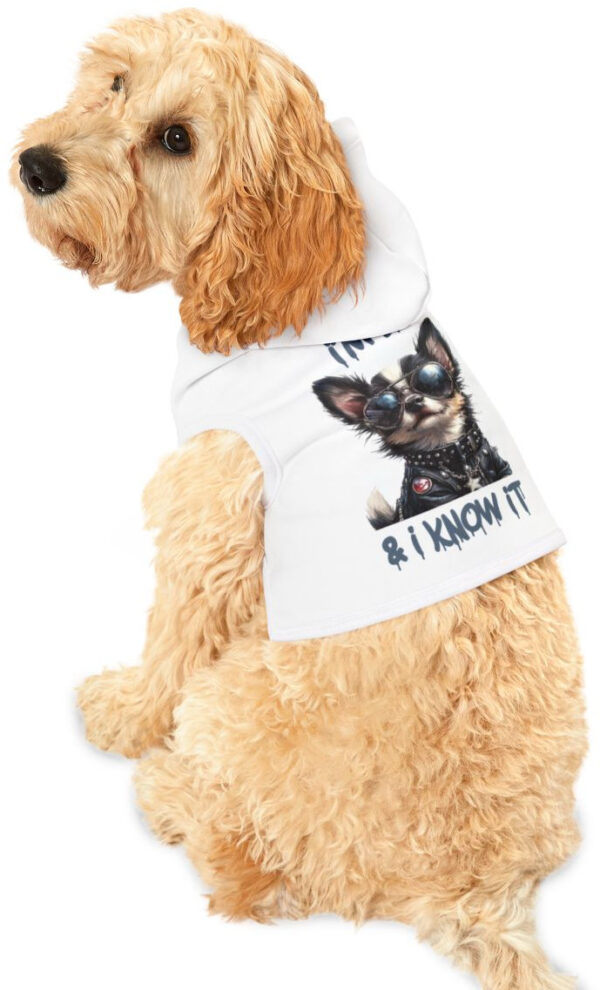 "Stylish 'I'm Sexy & I Know It' Dog Hoodie – Fun & Fashionable!"