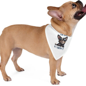 "Stylish Dog Bandana - 'I'm Sexy and I Know It' Design"
