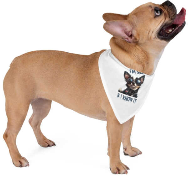 "Stylish Dog Bandana - 'I'm Sexy and I Know It' Design"