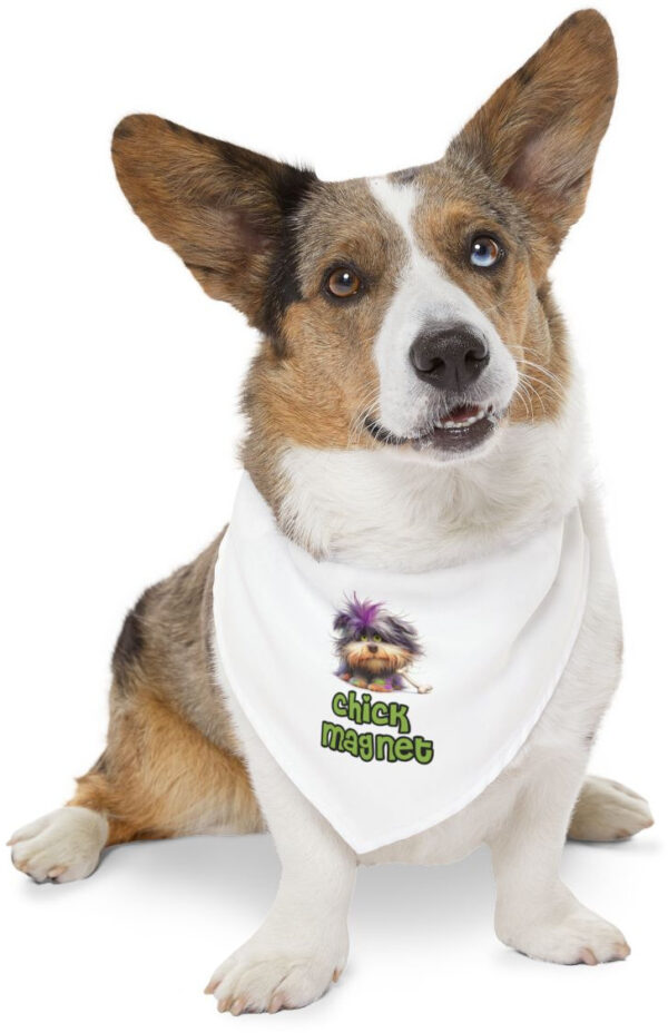 "Chick Magnet Dog Bandana Collar: Turn Heads with Style!"
