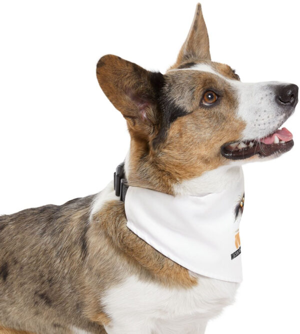 "Where's My Pants? Dog Bandana Collar - Fun & Stylish Pet Accessory"