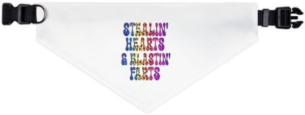 "Heartbreaker Dog Bandana Collar: Cute Style, Comfy Fit!"