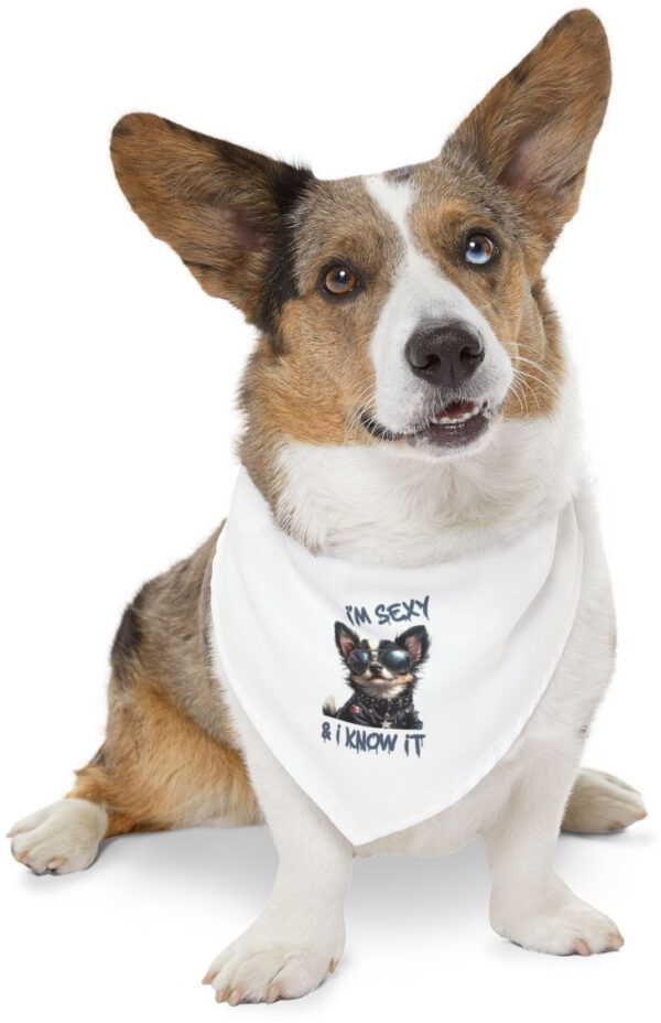 "Stylish Dog Bandana Collar - 'I'm Sexy and I Know It'"