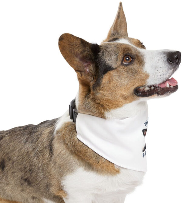 "Stylish Dog Bandana Collar - 'I'm Sexy and I Know It'"