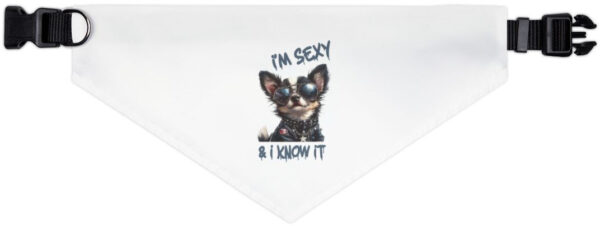 "Stylish Dog Bandana Collar - 'I'm Sexy and I Know It'"