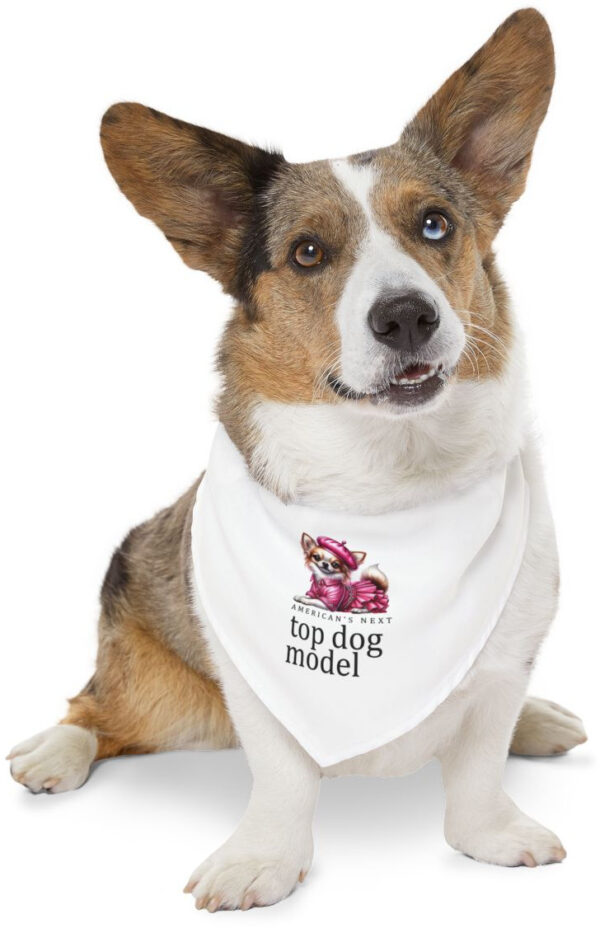 "Next Top Dog Model: Stylish Bandana Collar for Trendy Pups"