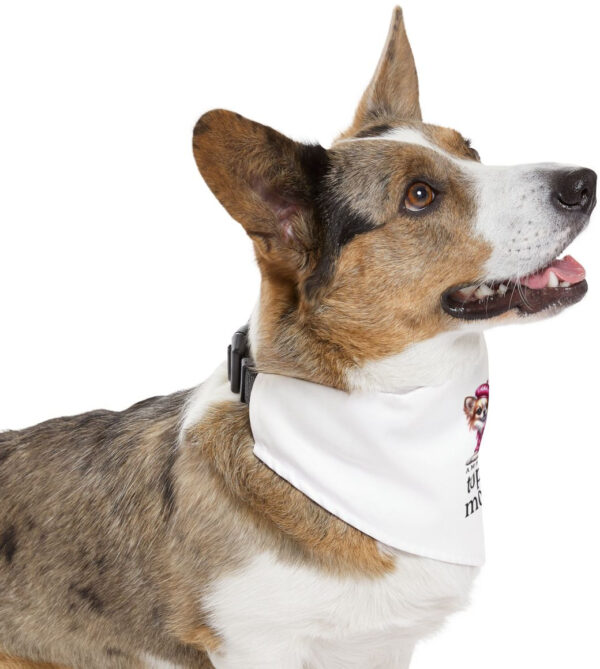 "Next Top Dog Model: Stylish Bandana Collar for Trendy Pups"